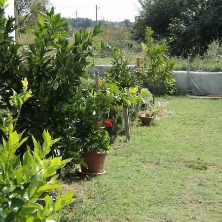 Delfini Mit Panoramablick Auf By Interhome *